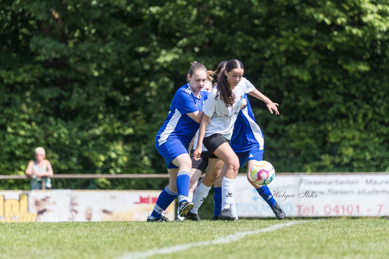 Bild 61 - wBJ VfL Pinneberg - Harksheide : Ergebnis: 2:1